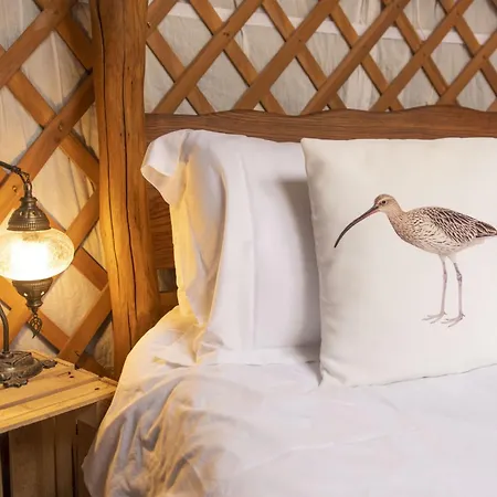 Curlew Semesterbostad