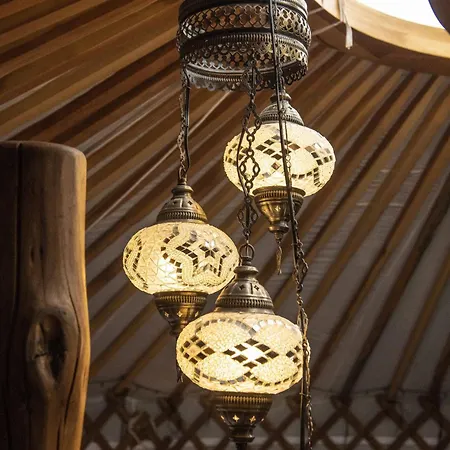 Dom wakacyjny Curlew